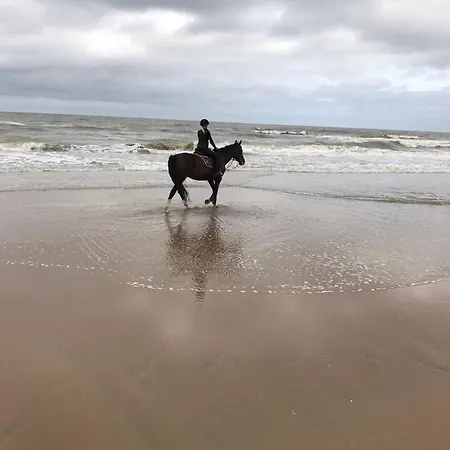 Beach Seaview Plus Parking Zandvoort