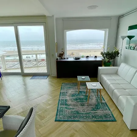 Beach Seaview Plus Parking * Zandvoort