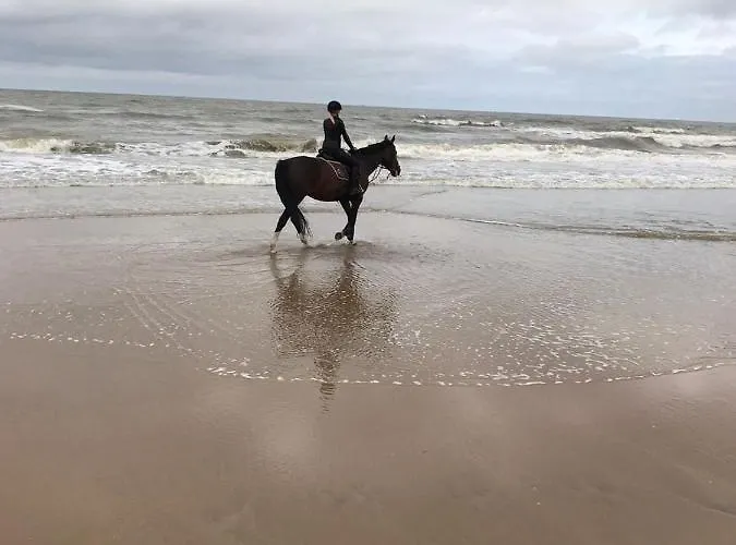 Seaview 赞德沃特