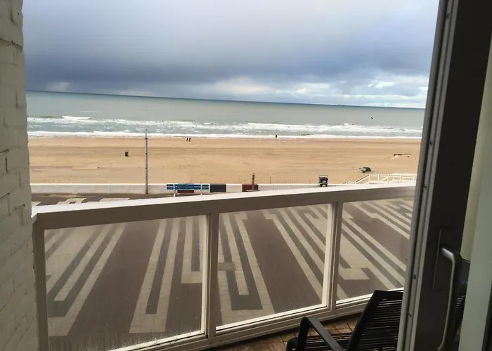 Seaview Zandvoort